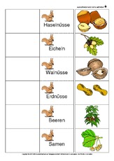 Flip-Flap-Eichhörnchen-Ernährung-2.pdf